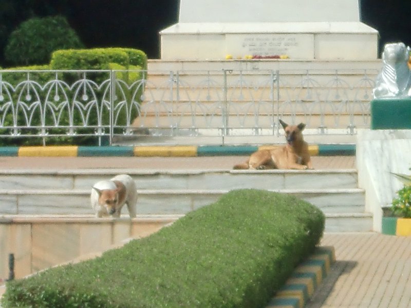 India Trip - July 2010 162.jpg